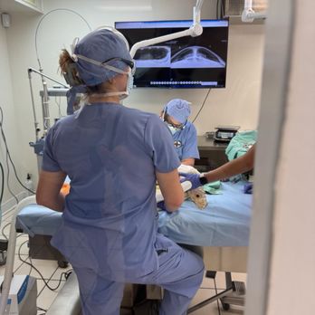 The Turtle Hospital - Veterinarians Near Me - Marathon, Florida