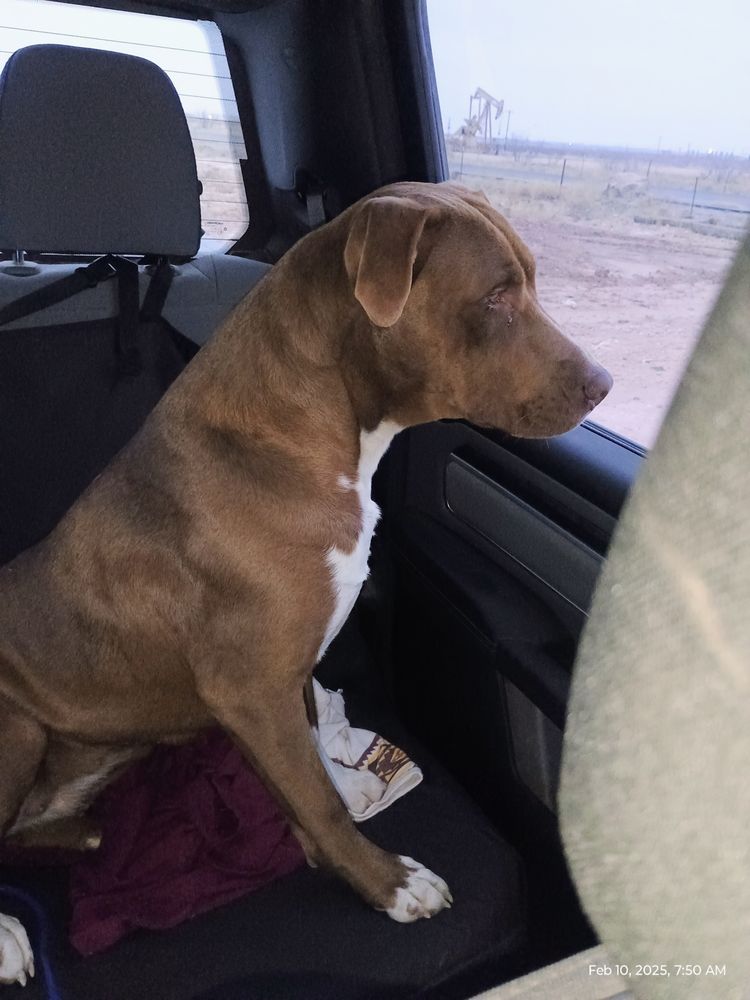 Fix West Texas - social services organization in Midland, TX