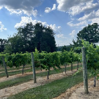 Arrington Vineyards - Vineyard - Venues & Event Spaces Near Me - Arrington, Tennessee