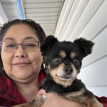 Pamper in the Camper Grooming - Pet Groomers Near Me Pamper in the Camper Grooming - Pet Groomers Near Me