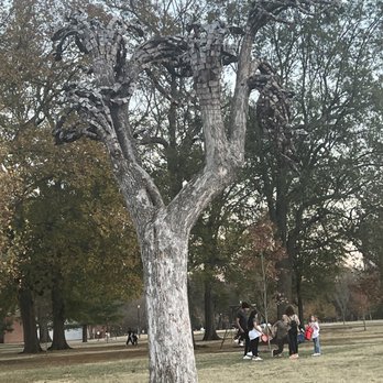 Centennial Park - Parks Near Me - Nashville, Tennessee Centennial Park - Parks Near Me - Nashville, Tennessee
