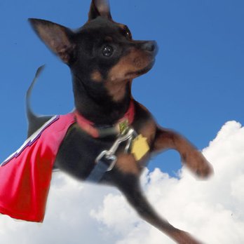 Blanche Park - Dog Parks Near Me - Miami, Florida