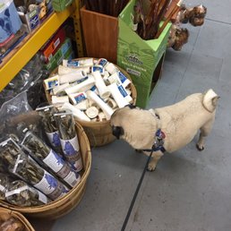 Ideal Pet Stop - Heaven, I'm in heaven! - Pet Stores Near Me - Seattle, Washington