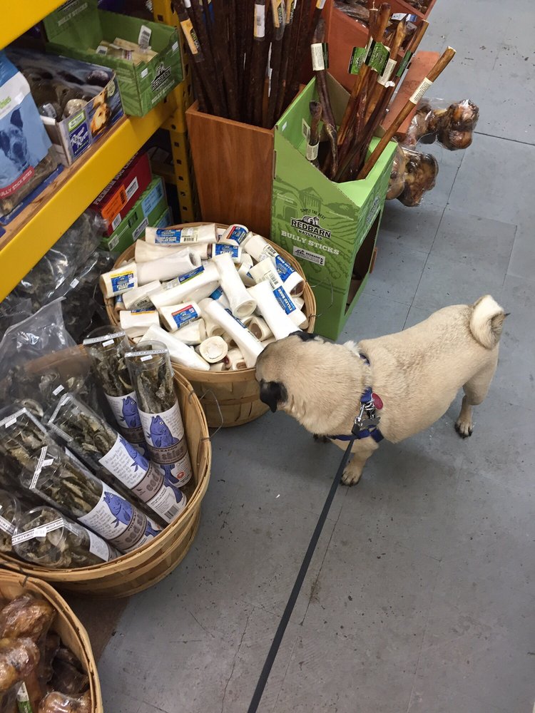 Ideal Pet Stop - Heaven, I'm in heaven! - Pet Stores Near Me - Seattle, Washington Ideal Pet Stop - Heaven, I'm in heaven! - Pet Stores Near Me - Seattle, Washington