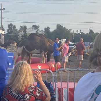 Erie County Fair - Camels - Festivals Near Me - Hamburg, New York