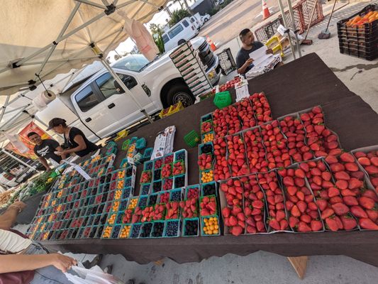 Pacific Beach Tuesday Farmers' Market by null