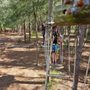 Photo of Orlando Tree Trek