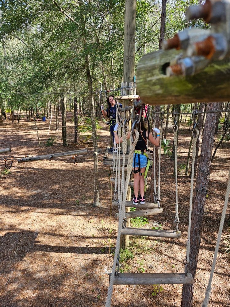 Orlando Tree Trek Image