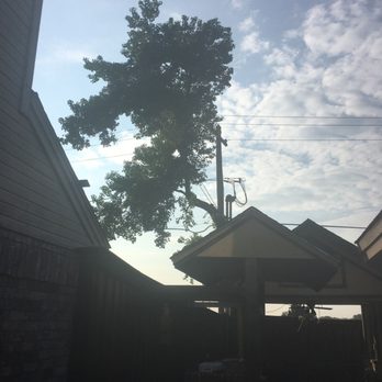 Express Tree Trimming - Best service and prices! - Tree Services Near Me
