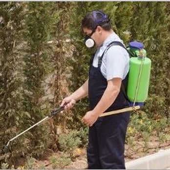 Murphy's Pest Control - Pest Control Near Me - Brooksville, Florida Murphy's Pest Control - Pest Control Near Me - Brooksville, Florida
