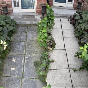 London Exterior Cleaning - Pressure Washers Near Me - London, Ontario London Exterior Cleaning - Pressure Washers Near Me - London, Ontario