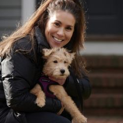 Wags 4 Walks - We treat and love your dogs as if they were our own:)