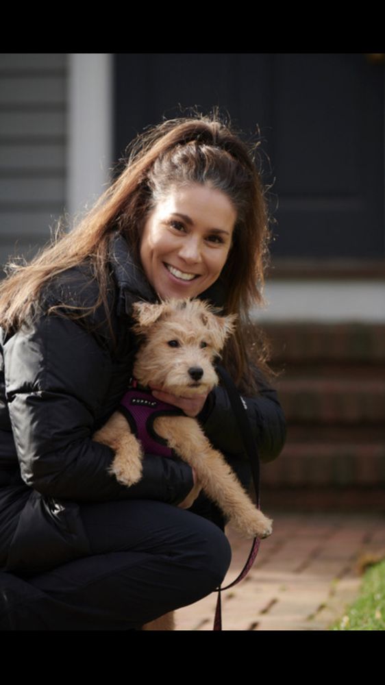Wags 4 Walks - pet boarding facility in Newton, MA