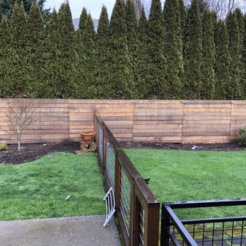 HomeGrown Organics - Fence that John and his team built - Landscaping Near Me - Seattle, Washington HomeGrown Organics - Fence that John and his team built - Landscaping Near Me - Seattle, Washington