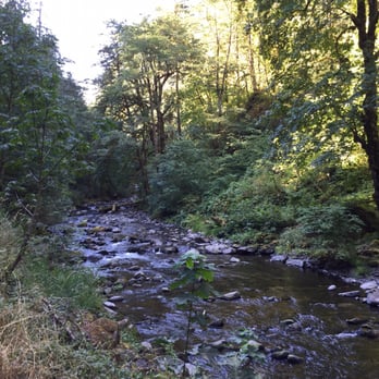 Wahclella Falls Hike - The hiking trail is right along the river/ stream - Hiking Near Me - Bonneville, Oregon Wahclella Falls Hike - The hiking trail is right along the river/ stream - Hiking Near Me - Bonneville, Oregon