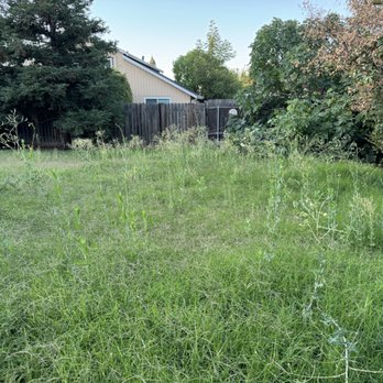 ZR Pro Landscaping - Before - Lawn Services Near Me ZR Pro Landscaping - Before - Lawn Services Near Me