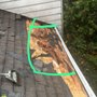 Pacific Painting & Roofing