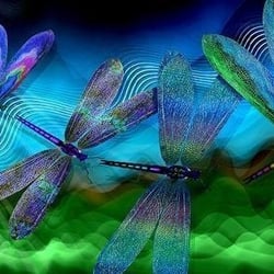 Emergence Shamanic Healing - From EmergenceShamanicHealing.com website.