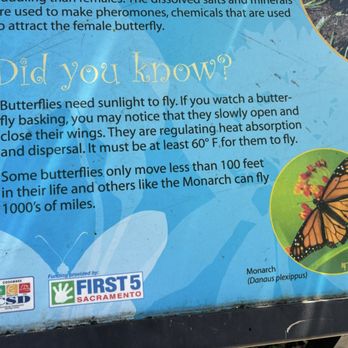 Wackman Park - Interesting fact - Parks Near Me - Elk Grove, California