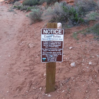 The Wave at Coyote Buttes - The trail begins. - Hiking Near Me