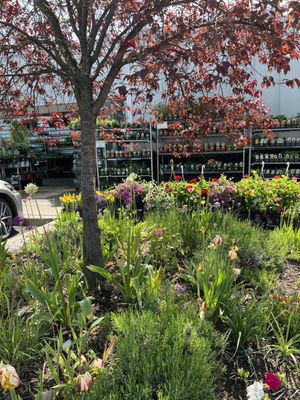 Honest Weight Food Co-op by null