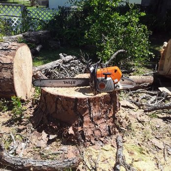 Bay Tree Removal Service - a chainsaw - Tree Services Near Me - Hayward, California Bay Tree Removal Service - a chainsaw - Tree Services Near Me - Hayward, California