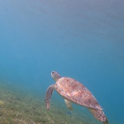 St Thomas Adventure Tours - One of over 300 photos and videos they took for us.