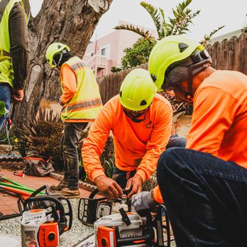 B&L Tree Service - Tree Services Near Me