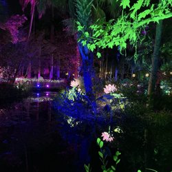 McKee Botanical Garden - Jungle lights