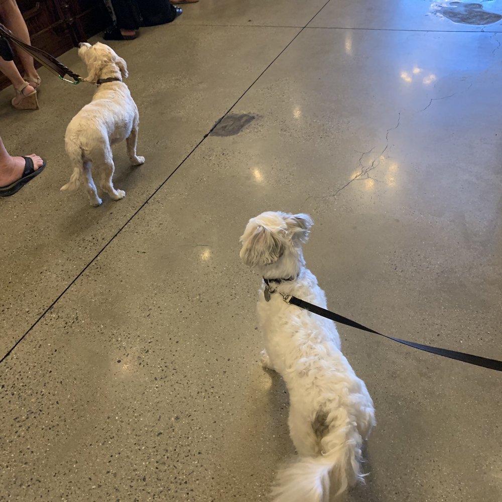 Oak Mountain Winery - Dog friendly tasting room - Wineries Near Me - Temecula, California Oak Mountain Winery - Dog friendly tasting room - Wineries Near Me - Temecula, California