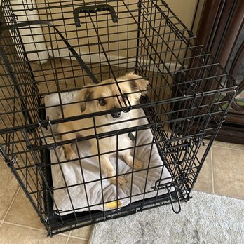 Canine Education - Fully inside the kennel (yay!) - Pet Training Near Me - San Diego, California Canine Education - Fully inside the kennel (yay!) - Pet Training Near Me - San Diego, California