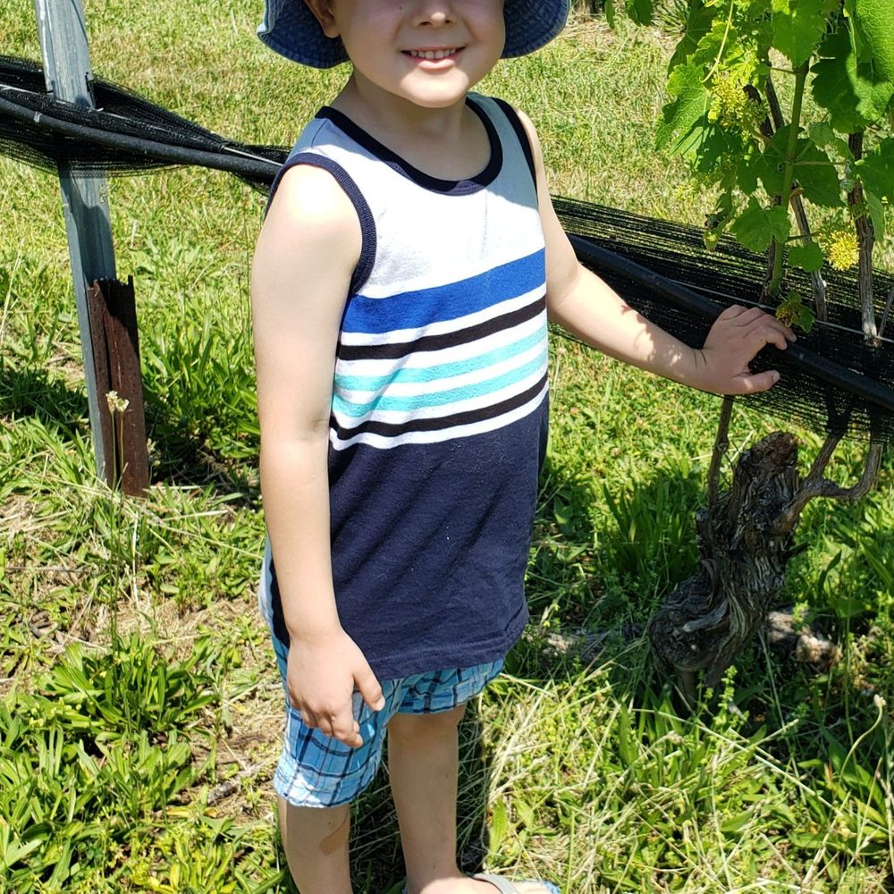 Grandson posing by grapevine Grandson posing by grapevine