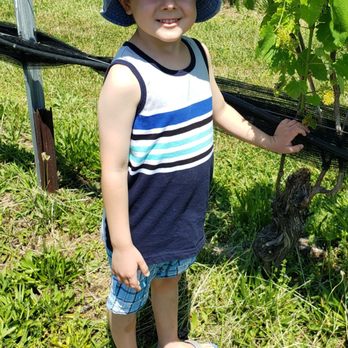 Junius Lindsay Vineyard - Grandson posing by grapevine - Wineries Near Me - Lexington, North Carolina