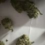 Photo of KindCare of Colorado