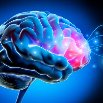 Oregon Neurofeedback - NeurOptimal Neurofeedback uses information about your brain's electrical activity to enable it to change the inefficient patterns. - Counseling & Mental Health Near Me - Beaverton, Oregon Oregon Neurofeedback - NeurOptimal Neurofeedback uses information about your brain's electrical activity to enable it to change the inefficient patterns. - Counseling & Mental Health Near Me - Beaverton, Oregon