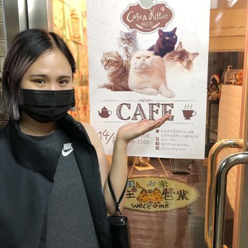貓店街 - We found it! - Pets Near Me - Hong Kong, HK