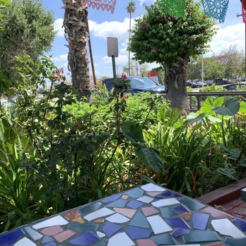 El Super Burrito - There are little chickadee birds in these plants - Mexican Near Me - Pasadena, California El Super Burrito - There are little chickadee birds in these plants - Mexican Near Me - Pasadena, California