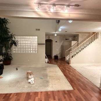Vision Carpet - BEFORE / outdated flooring and stained carpet - Flooring Near Me - San Diego, California Vision Carpet - BEFORE / outdated flooring and stained carpet - Flooring Near Me - San Diego, California