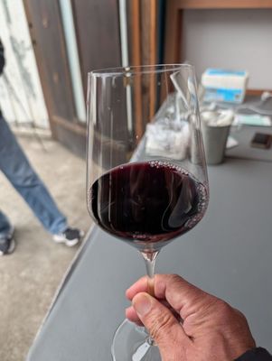 NORIA Winery by null