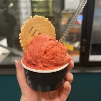 Terra Gelato - Strawberry gelato - Ice Cream & Frozen Yogurt Near Me - Milan, Michigan Terra Gelato - Strawberry gelato - Ice Cream & Frozen Yogurt Near Me - Milan, Michigan