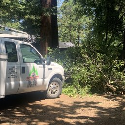 Their Company tree cutter transportation truck
