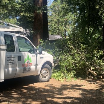 Better City Tree Services Inc. - Their Company tree cutter transportation truck - Tree Services Near Me - Martinez, California