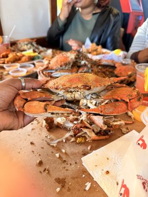 Mike's Restaurant & Crabhouse by null
