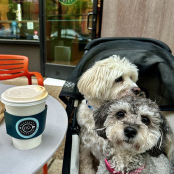 Necessary & Sufficient Coffee - Printers Row - Best coffee in Printers Row.We love sitting outside with our dogs. - Coffee & Tea Near Me - Chicago, Illinois