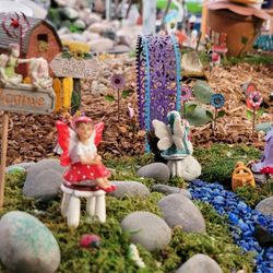 Ginger Valley
