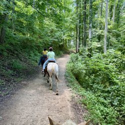 Sandy Bottom Trail Rides