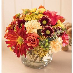 Beautiful mix of fall color flowers in low rose bowl