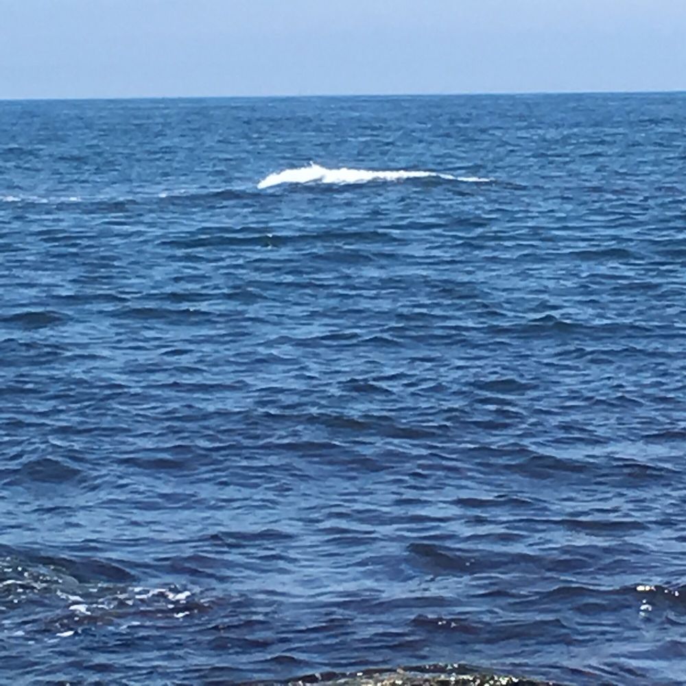 KENT COUNTY BRANCH YMCA Updated September 2024 21 Photos & 21 Reviews 900 Centerville Rd