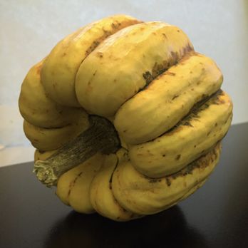Sky Nursery - Sweet Dumpling Squash: best small-sized winter squash for Puget Sound's short summer. This one is as big as two fists. - Nurseries & Gardening Near Me - Shoreline, Washington Sky Nursery - Sweet Dumpling Squash: best small-sized winter squash for Puget Sound's short summer. This one is as big as two fists. - Nurseries & Gardening Near Me - Shoreline, Washington