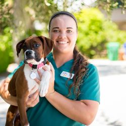 Cedar Bay Veterinary Clinic